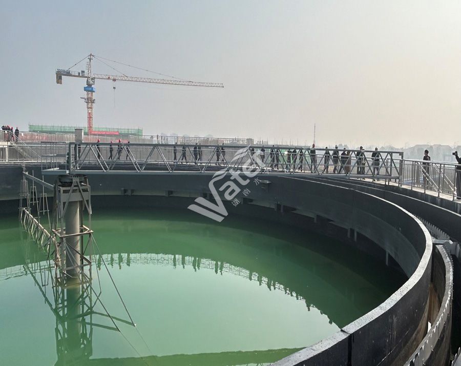 國內(nèi)某污水處理廠項目